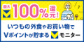 Vモニター